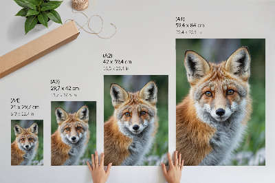 Grafika na ścianę Lisek portret