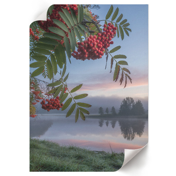 Wydruk na płótnie Natura o poranku