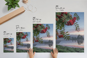 Wydruk na płótnie Natura o poranku