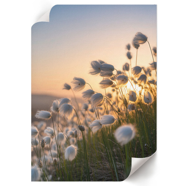 Plakat premium Romantyczny pejzaż