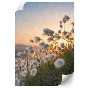 Plakat premium Romantyczny pejzaż