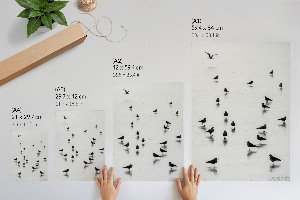 Grafika na ścianę Ptaki przybrzeżne