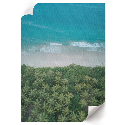 Plakat premium Tropikalna plaża