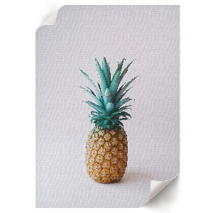 Dekoracyjny plakat ścienny Tropikalny ananas