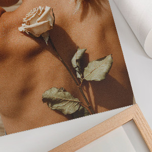 Wydruk na płótnie Róża intymność