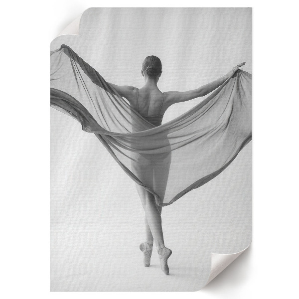 Grafika na ścianę Balet piękno