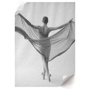 Grafika na ścianę Balet piękno