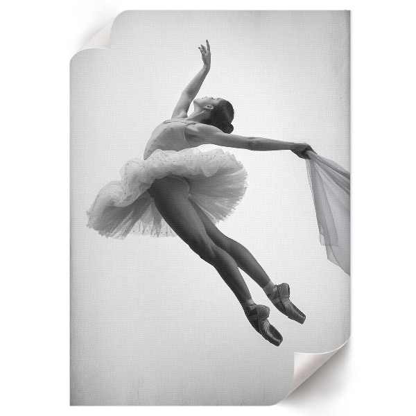 Wydruk na płótnie Taniec elegancji