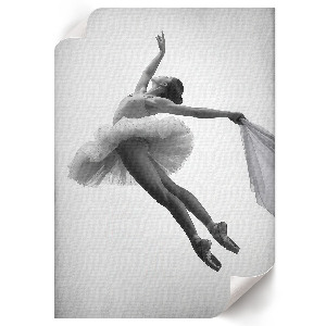 Wydruk na płótnie Taniec elegancji