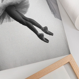 Wydruk na płótnie Taniec elegancji