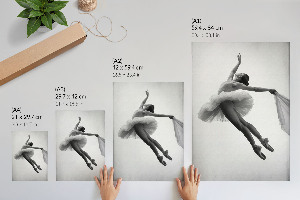 Wydruk na płótnie Taniec elegancji