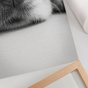 Plakat premium Psi pyszczek