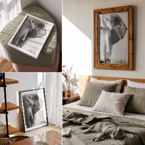 Dekoracyjny plakat ścienny Głowa słonia