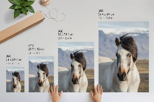 Wydruk na płótnie Koń z grzywą