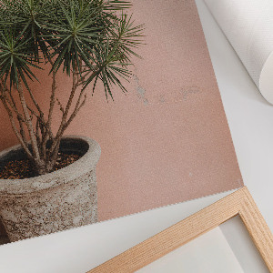 Grafika na ścianę Roślina doniczkowa