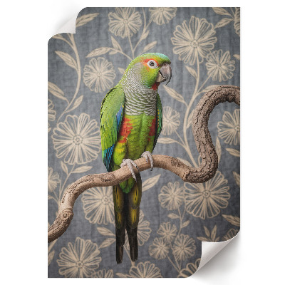 Plakat premium Kolorowa papuga