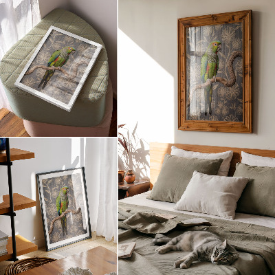 Plakat premium Kolorowa papuga