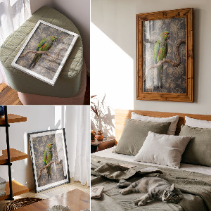 Plakat premium Kolorowa papuga