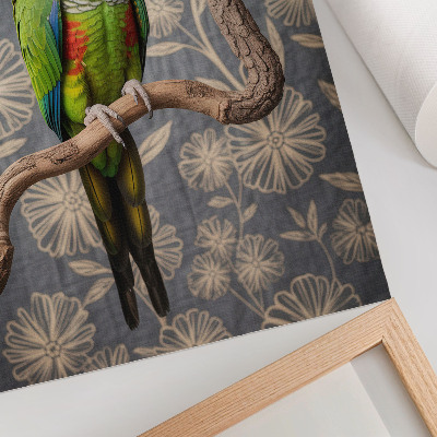 Plakat premium Kolorowa papuga