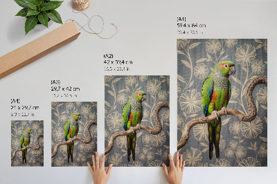 Plakat premium Kolorowa papuga