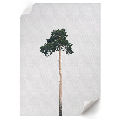 Plakat premium Samotne drzewo