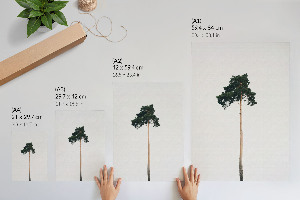 Plakat premium Samotne drzewo