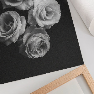 Plakat premium Cztrery róże