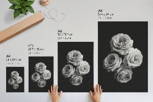 Plakat premium Cztrery róże