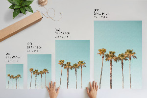 Grafika na ścianę Palmy tropiki