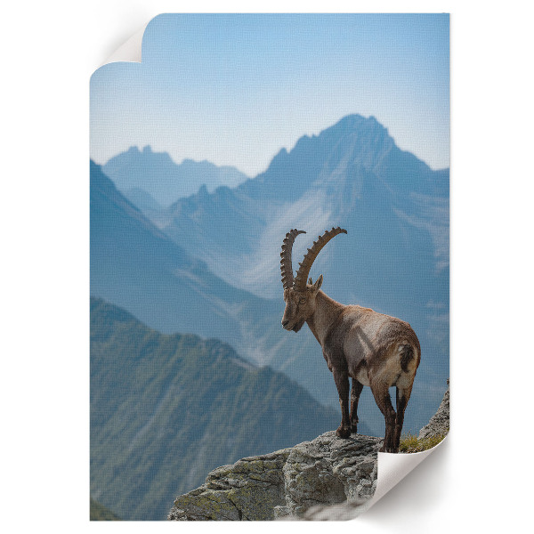 Grafika na ścianę Górska natura