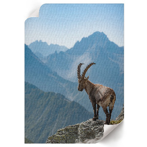 Grafika na ścianę Górska natura