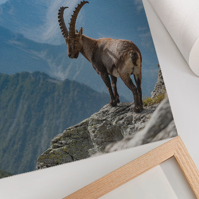 Grafika na ścianę Górska natura