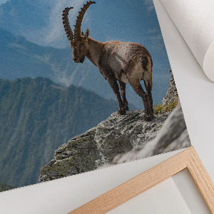 Grafika na ścianę Górska natura