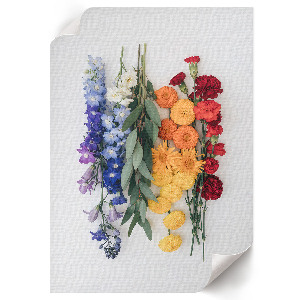Grafika na ścianę Kolorowe kwiaty