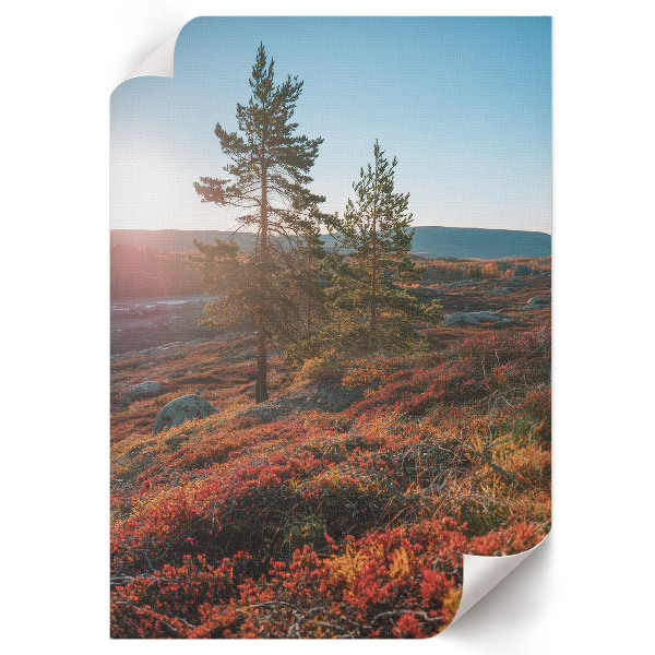 Dekoracyjny plakat ścienny Jesienna harmonia