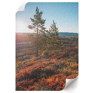 Dekoracyjny plakat ścienny Jesienna harmonia