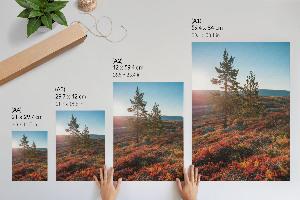 Dekoracyjny plakat ścienny Jesienna harmonia