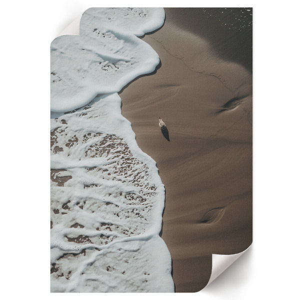 Grafika na ścianę Plaża natura