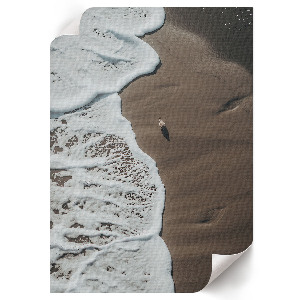 Grafika na ścianę Plaża natura