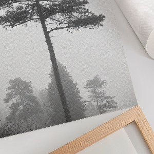 Grafika na ścianę Mgła i drzewa