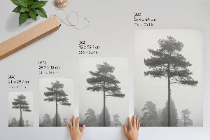 Grafika na ścianę Mgła i drzewa