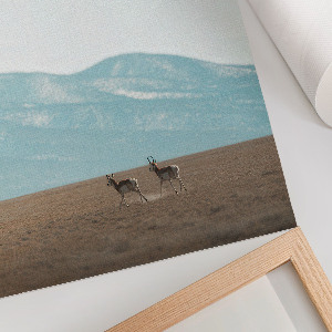 Plakat premium Górskie widoki