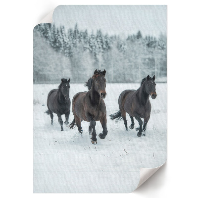 Plakat premium Konie zimowe