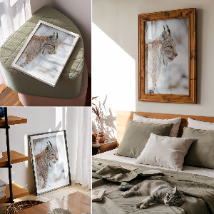 Dekoracyjny plakat ścienny Ryś zimowy