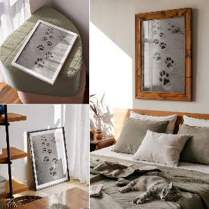 Plakat premium Ślady zwierząt