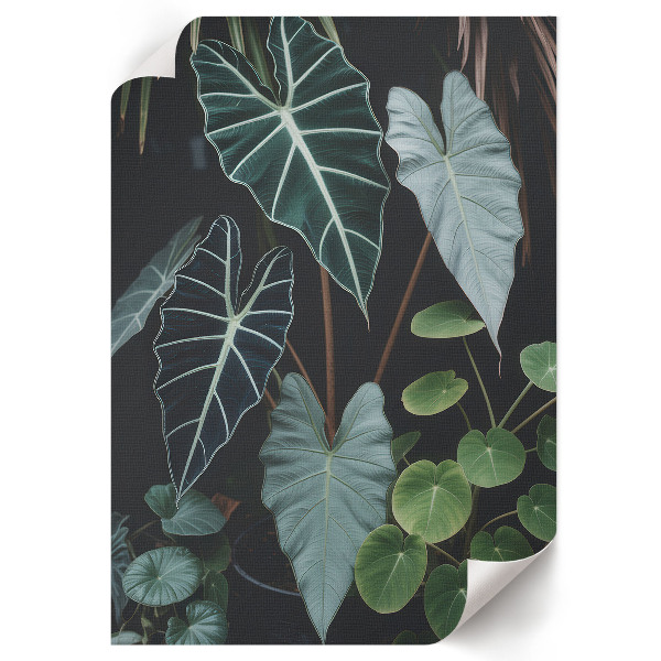 Plakat premium Zielone liście