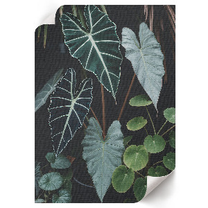 Plakat premium Zielone liście