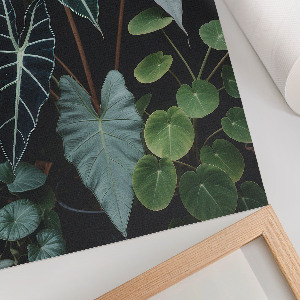 Plakat premium Zielone liście