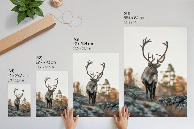 Dekoracyjny plakat ścienny Jeleń natura