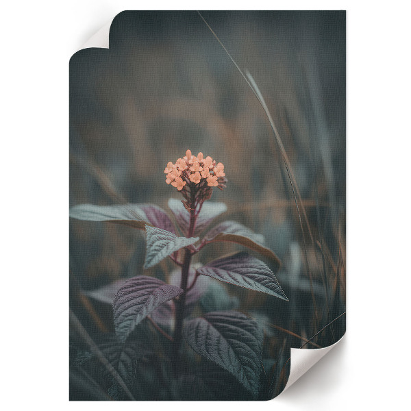 Grafika na ścianę Kwiatowy urok